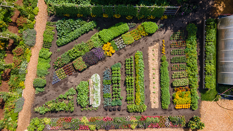 Vogelperspektive auf einen Garten mit geordneten Blumen, Pflanzen und Wegen.