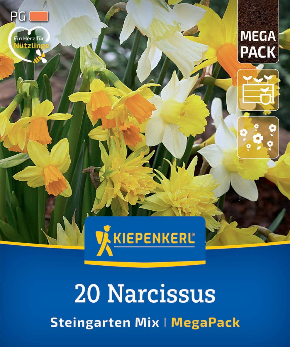 Blumen mit weißen, gelben und orangefarbenen Blüten in einem Gartenbeet.