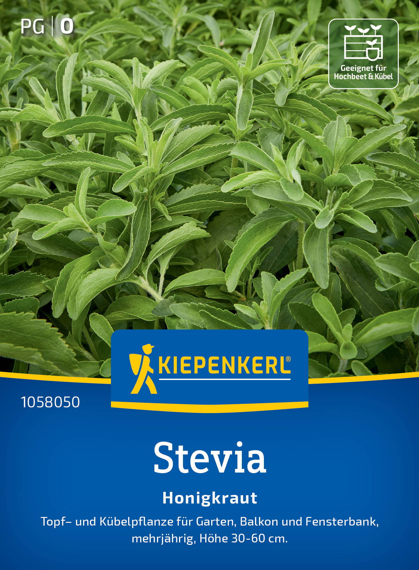 Grüner Honigkraut in Töpfen, mit Kiepenkerl Logo, Produktname Stevia, für Garten und Balkon, mehrjährig.