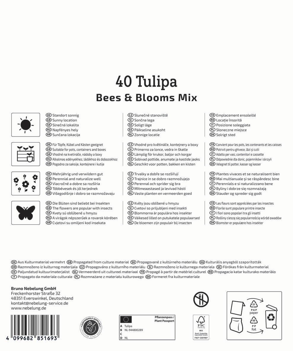 40 Tulipa, Bienen- und Blütenmischung, sonnig, für Töpfe, geeignet, bienenfreundlich, mehrjährig, beliebte Blumen, insektenfreundlich