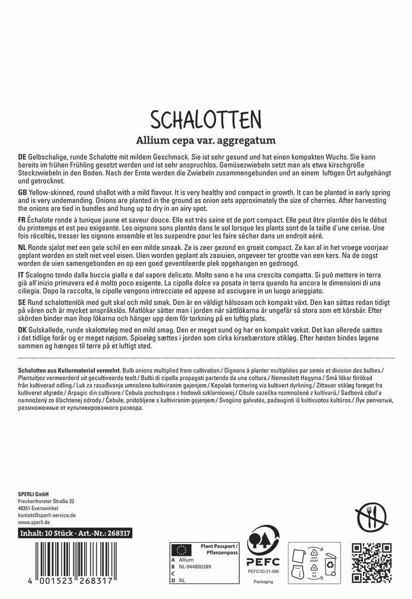 Runde gelbe Zwiebelschalotten mit mildem Geschmack, aufgereiht, auf weißem Hintergrund.