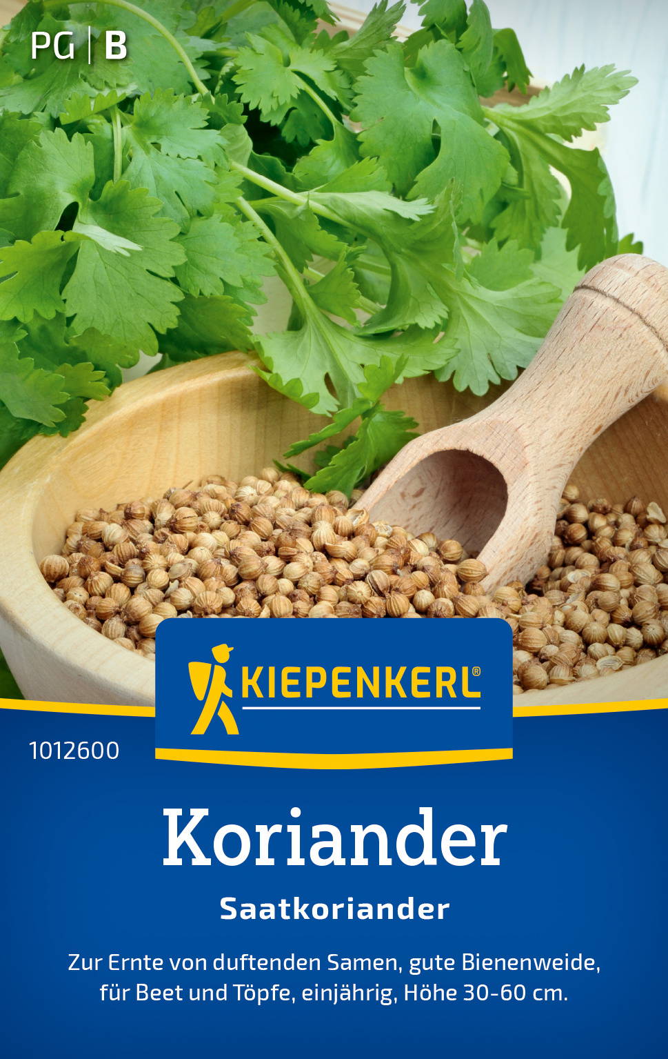 Koriandersamen Saatkoriander