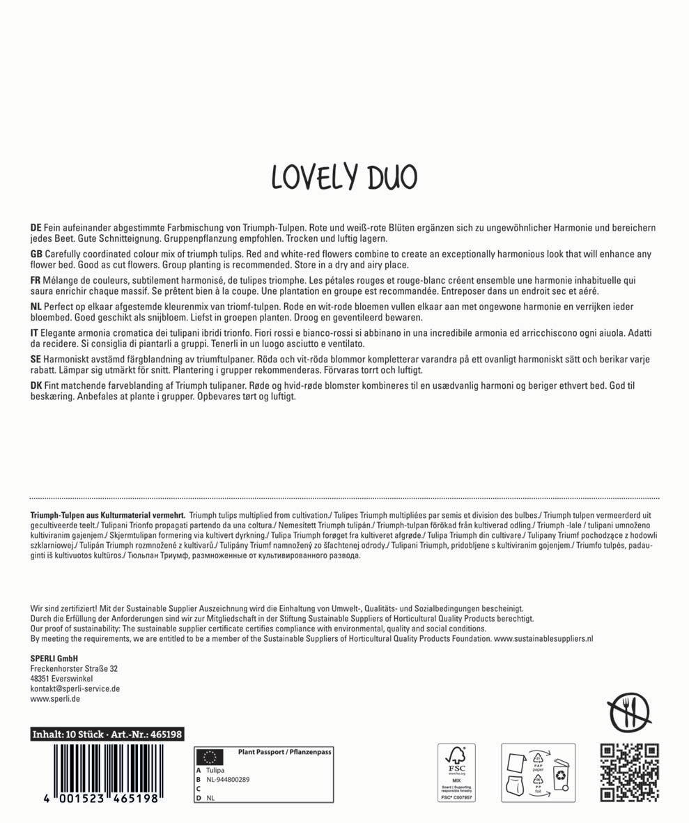 Zwei rot-weiße Tulpen mit grünem Blätterkranz, Hintergrund weiß.