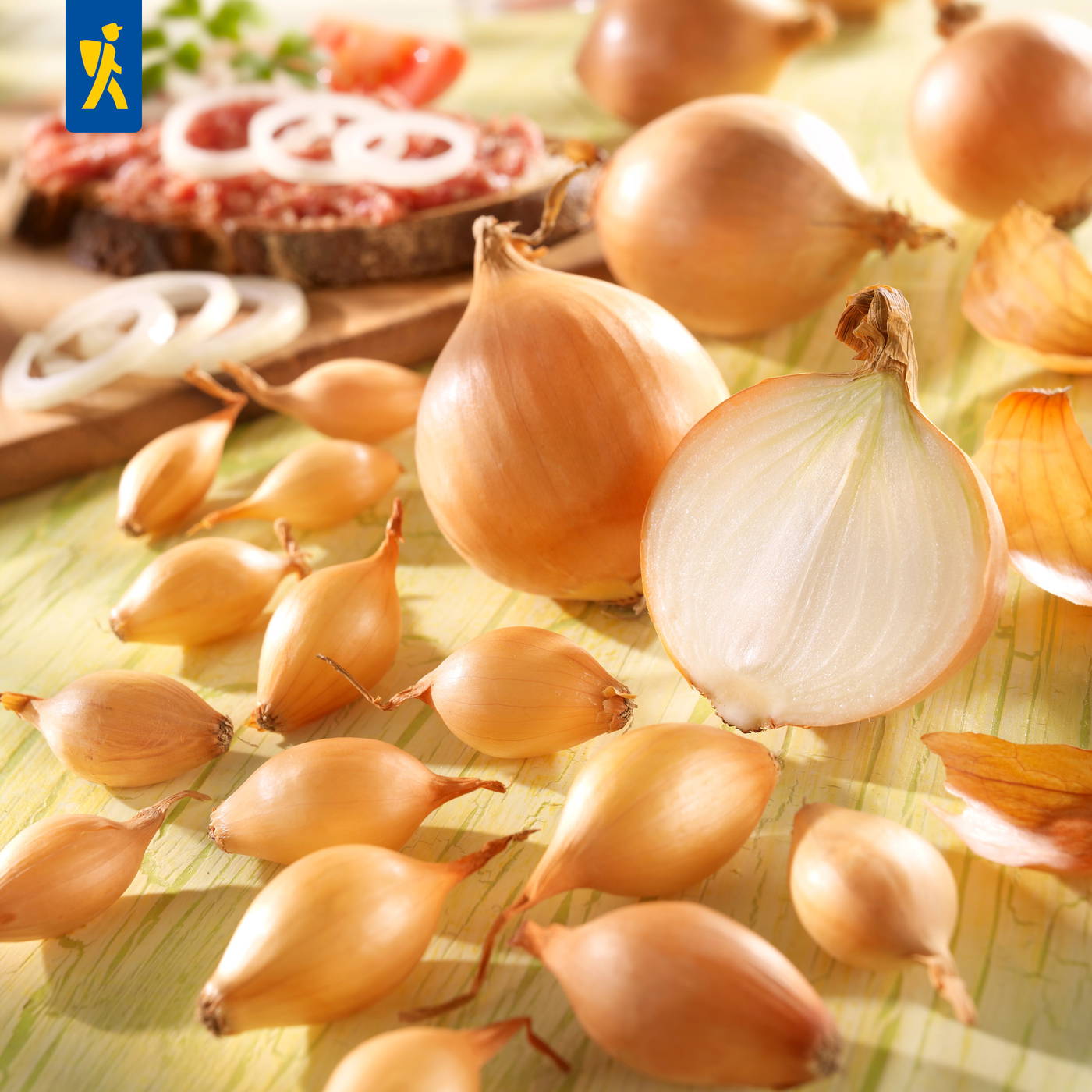 Zwiebeln und Zwiebelhäute auf einem gelb-grünen Untergrund, im Hintergrund eine Brotscheibe mit Tomaten und Zwiebeln.