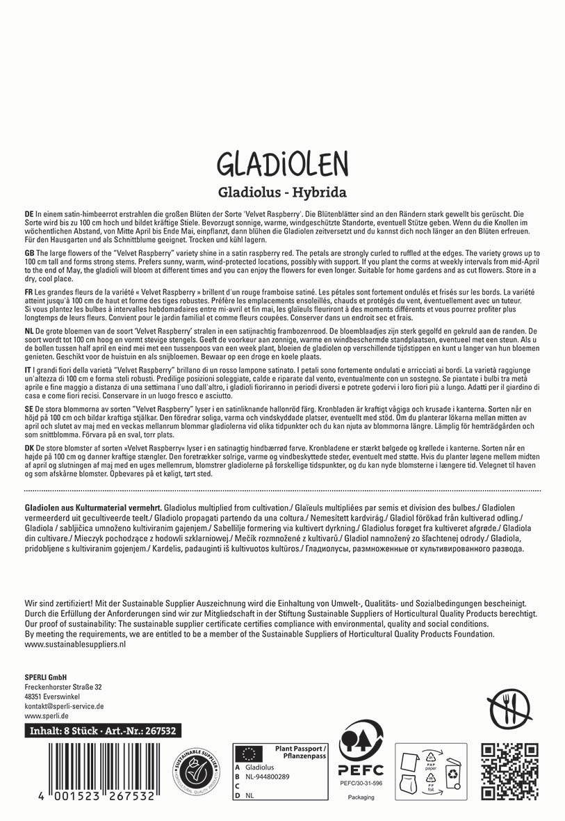 Text on a white background in multiple languages describing large violet raspberry flowers with curling petals.