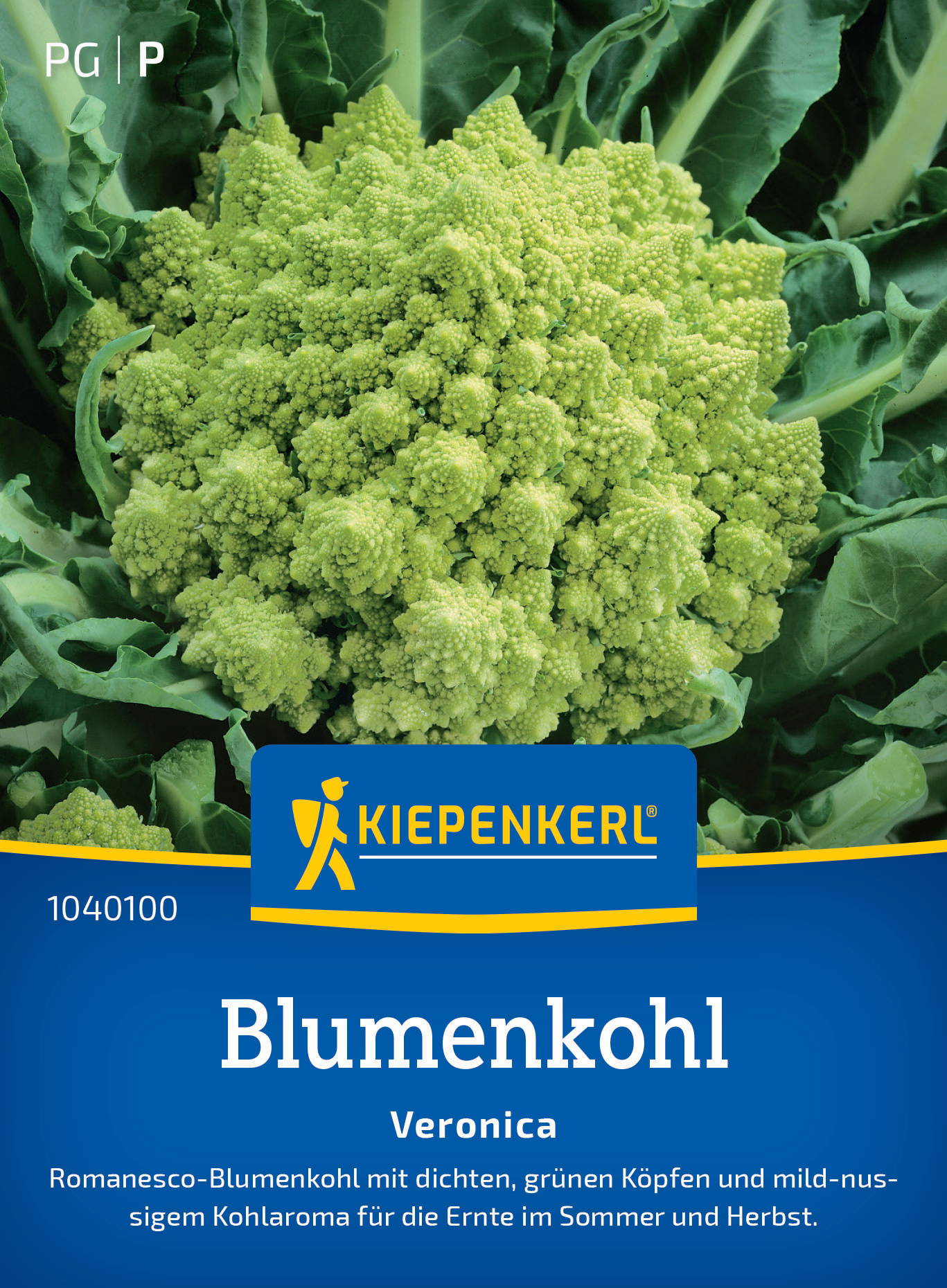 Blumenkohlsamen Veronica, F1