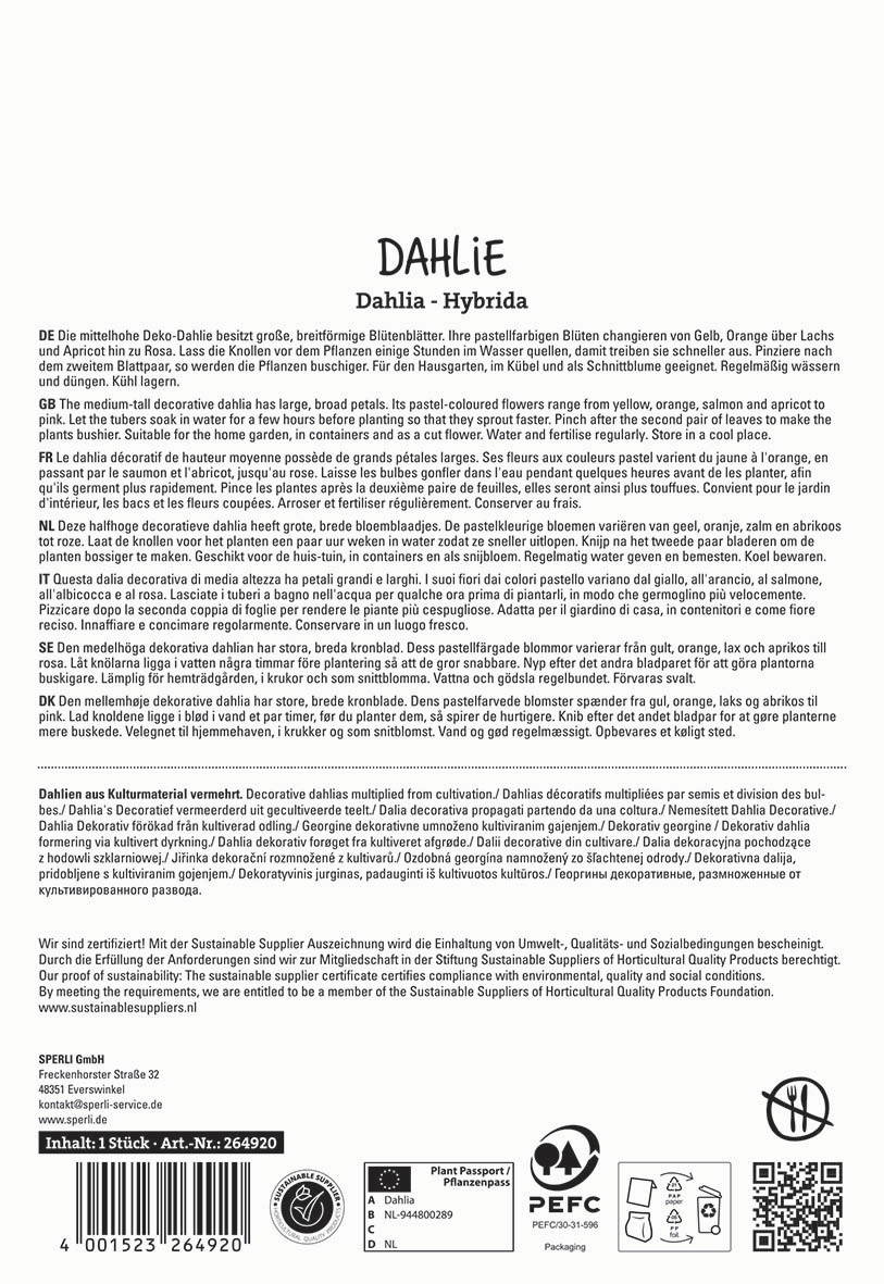 Text auf weißen Hintergrund mit schwarzen Buchstaben, Beschreibung der Dahlien und Herstellungsinformationen.
