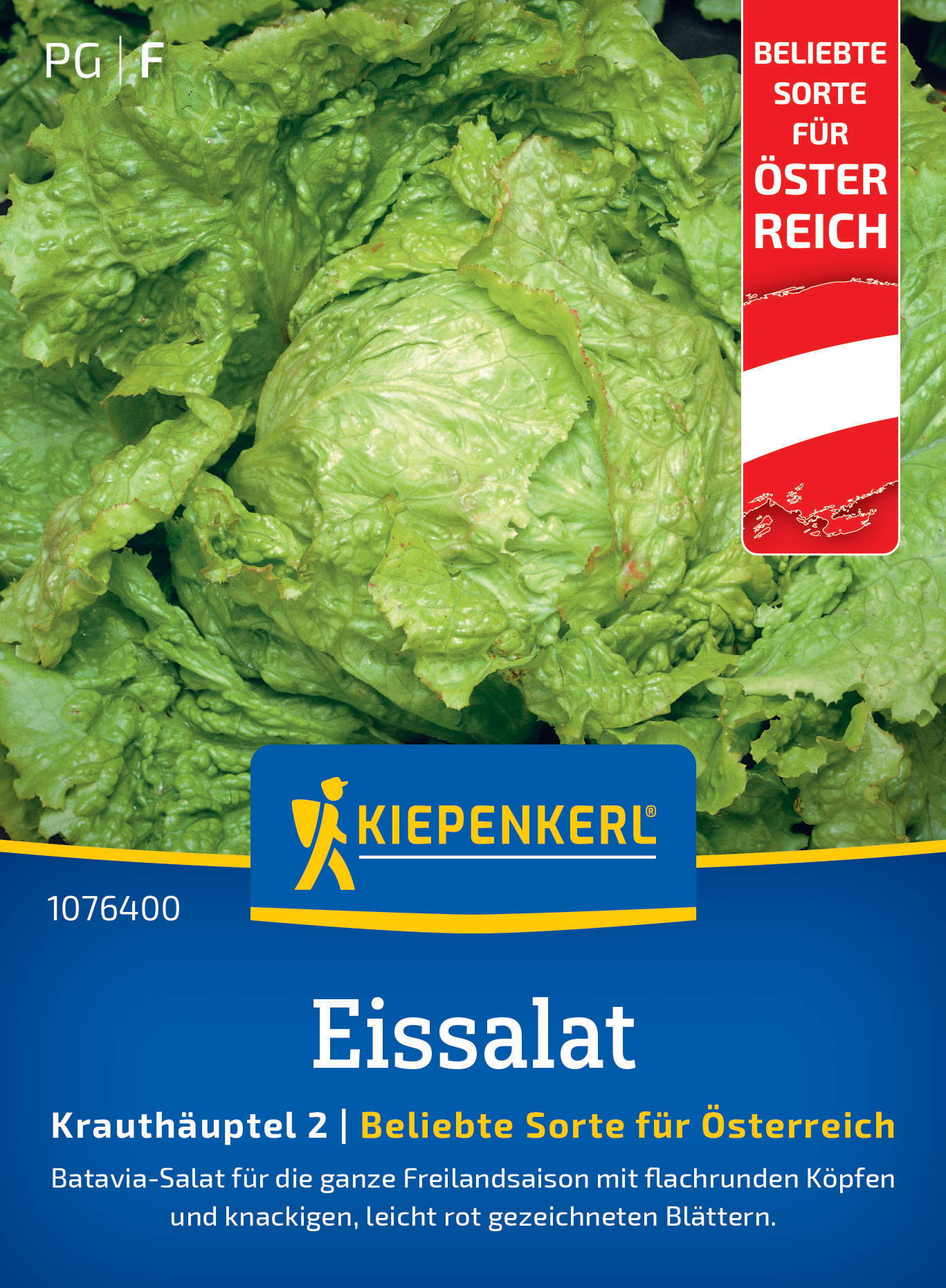 Vorderseite eines Saatgutsacks mit grünem Eisbergsalat und blauer und roter Verpackung.