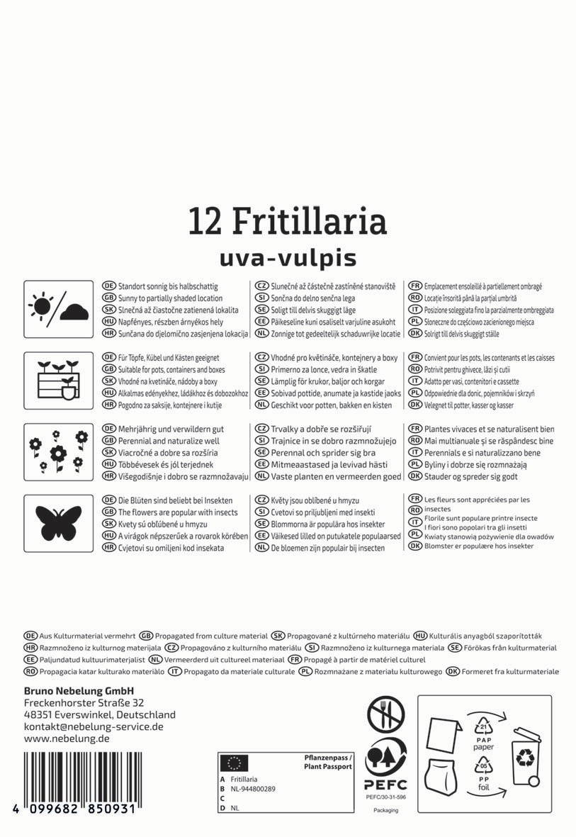 Samenblatt mit 12 Fritillaria uva-vulpis, geeignet für Töpfe, Container und Boxen