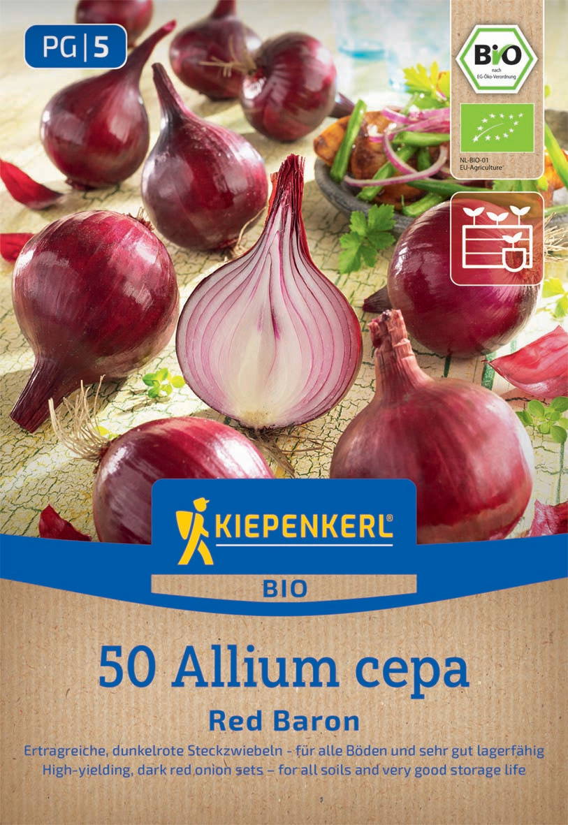 Mehrere rote Zwiebeln, eine halbierte Zwiebel, auf Holztisch, mit Pflanzen und einem Teller im Hintergrund.