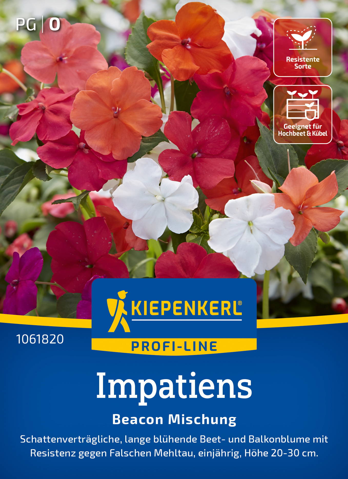 Bunte Impatiens Blumen in rot, orange, weiß und pink
auf Gemeinschaftsbild, Produktbeschreibung auf Etikett.