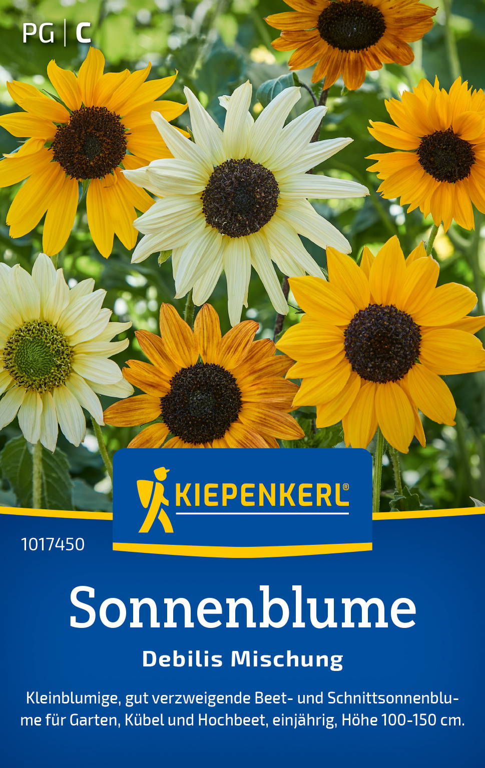 Bunte Sonnenblumen mit dunklem Zentrum auf grünem Hintergrund, auf Verpackung für Sonnenblumensamen.