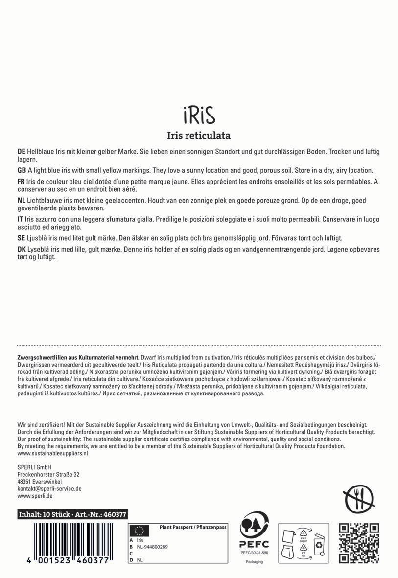 Hellblaue Iris mit kleinen gelben Marken, sonniger Standort, gut durchlässiger Boden, trocken und luftig lagernd.