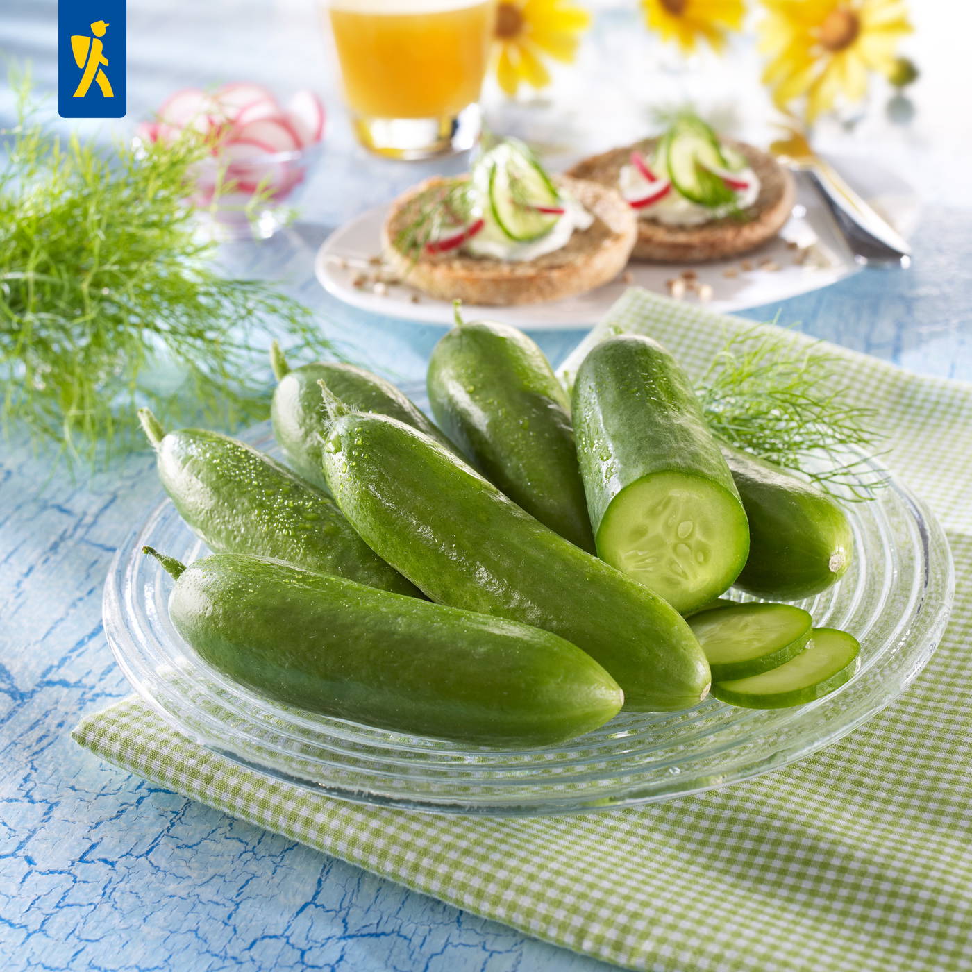 Gurken auf einem Glasservierteller, im Hintergrund Brötchen mit Radieschen und Gurken, Wasser und Sonnenblumen.