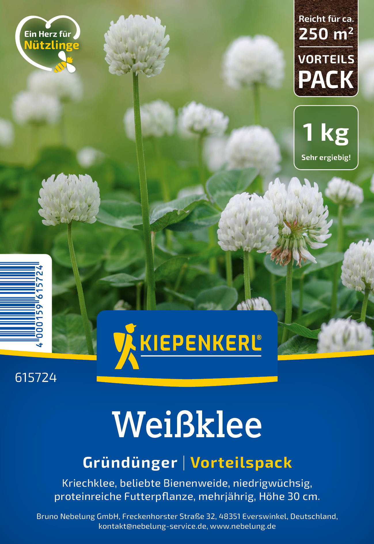 Weiße Knospen und Blüten auf grünen Blättern, Pflanzenbild, Garten, Blumen, Nahaufnahme.
