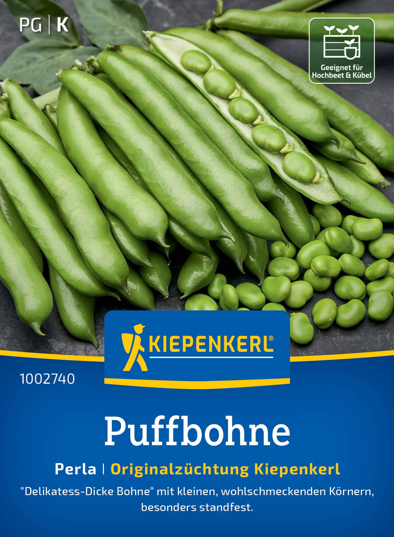 Grüne Puffbohnen, einige in Hülsen, andere bereits geöffnet mit kleinen, runden Körnern.