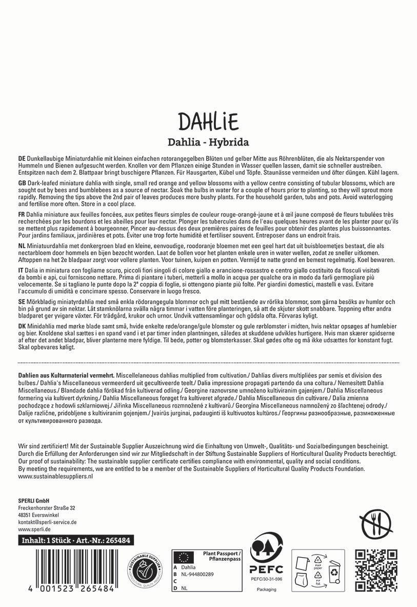 Miniature daffy dahlias with orange yellow blossoms, tubers in a container, German, English, French, Dutch, Swedish, Finnish, Russian, Ukrainian and Russian descriptions, certification logos, barcode and QR code.