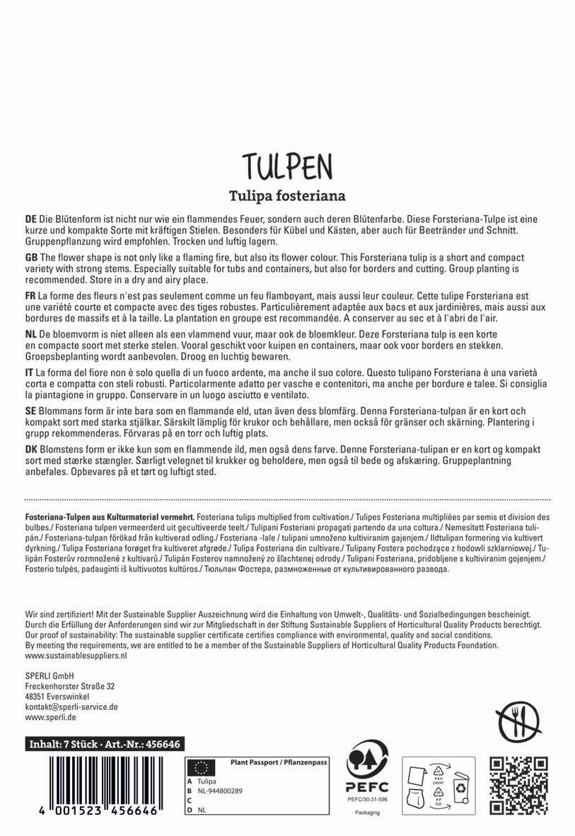 Blumenform Tulpe mit kräftigen Stielen auf weißem Hintergrund, Produktinformationen in mehreren Sprachen.