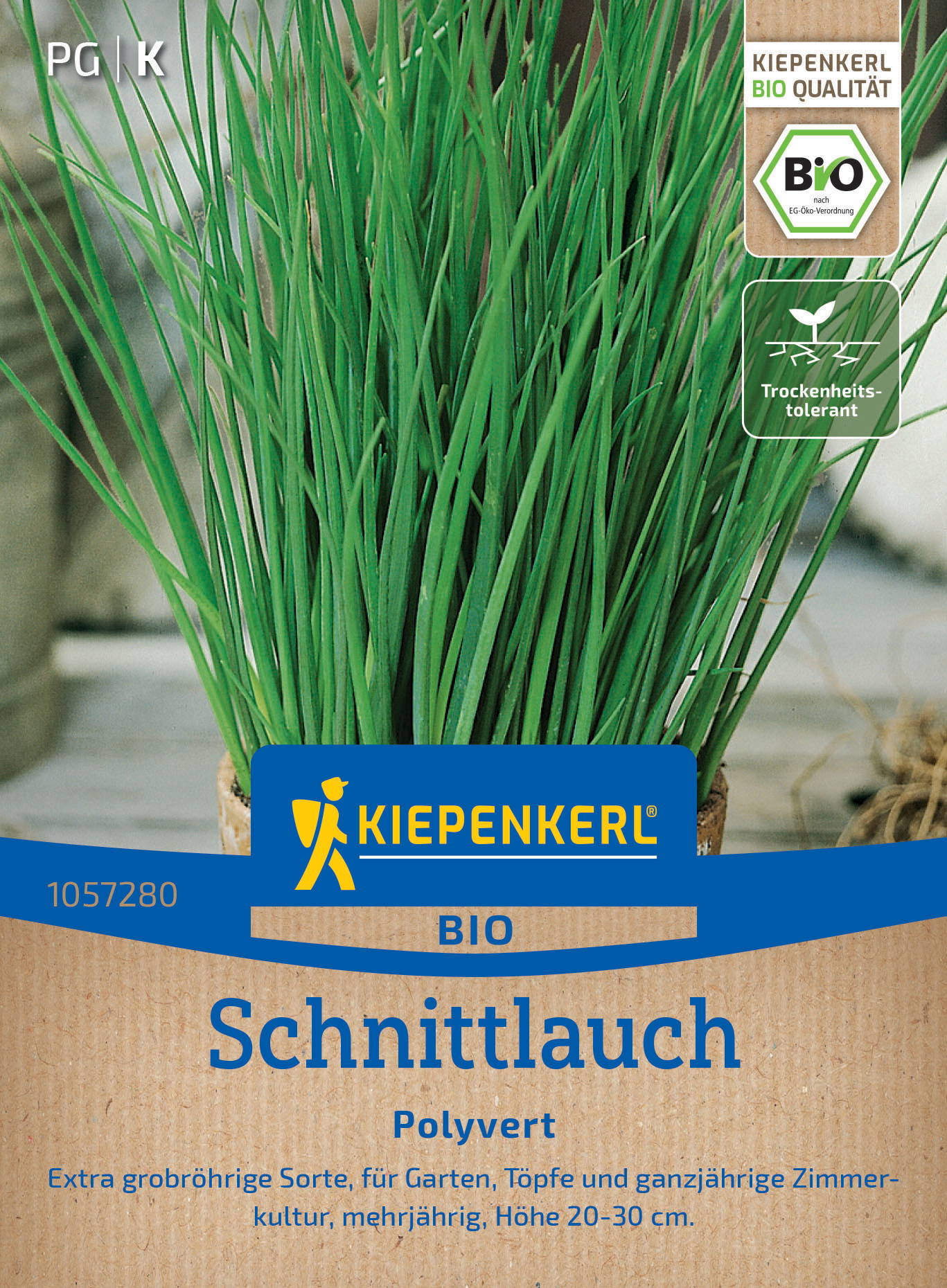 Grünes Gras in einem Tontopf, Verpackung mit blauer und brauner Beschriftung, Bio, schnittlauch, Polyver, trockenheitsresistent.