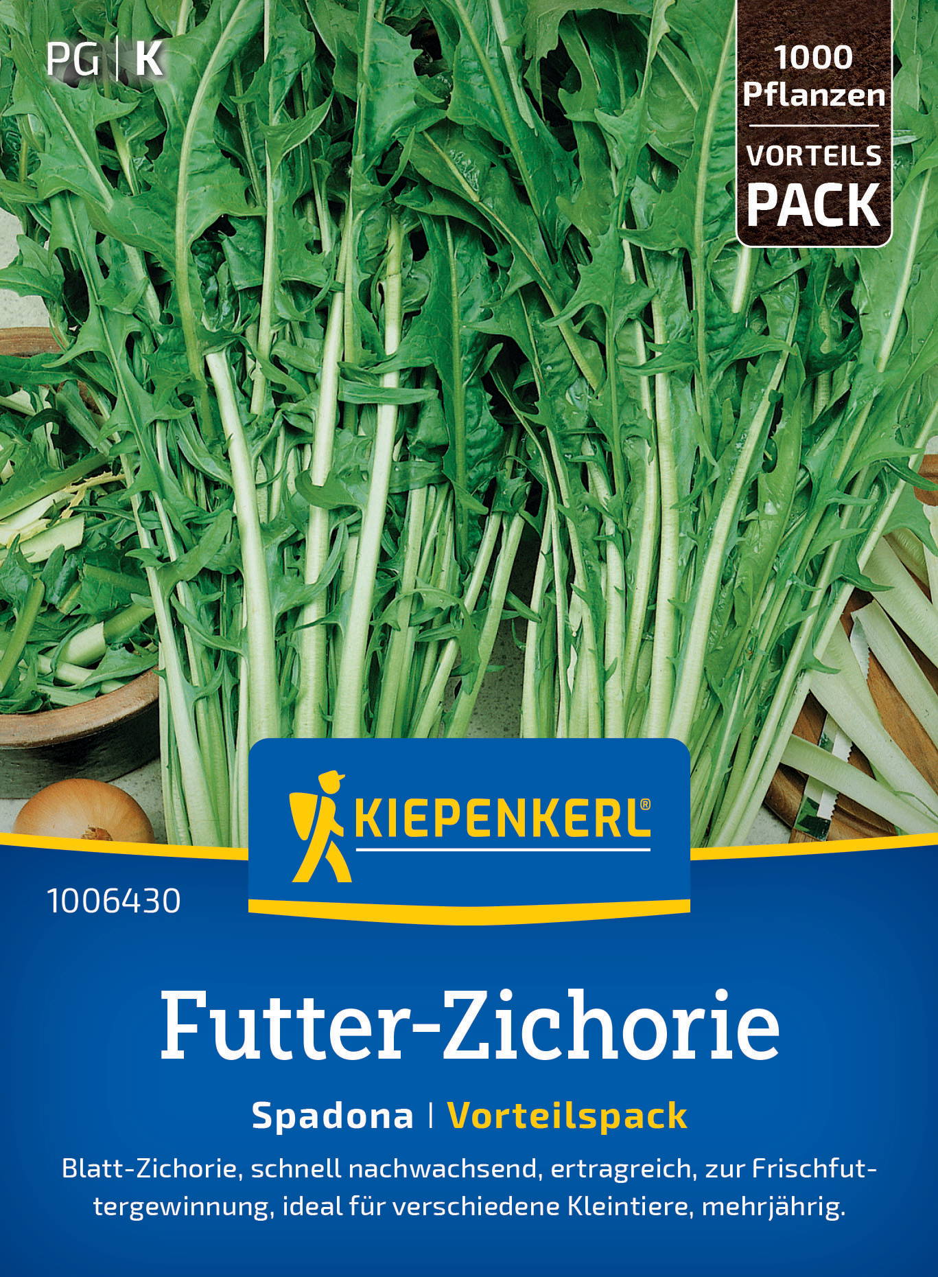 Grüner Zichorienstrauch mit langen, gezackten Blättern auf einem Gemüsetisch.