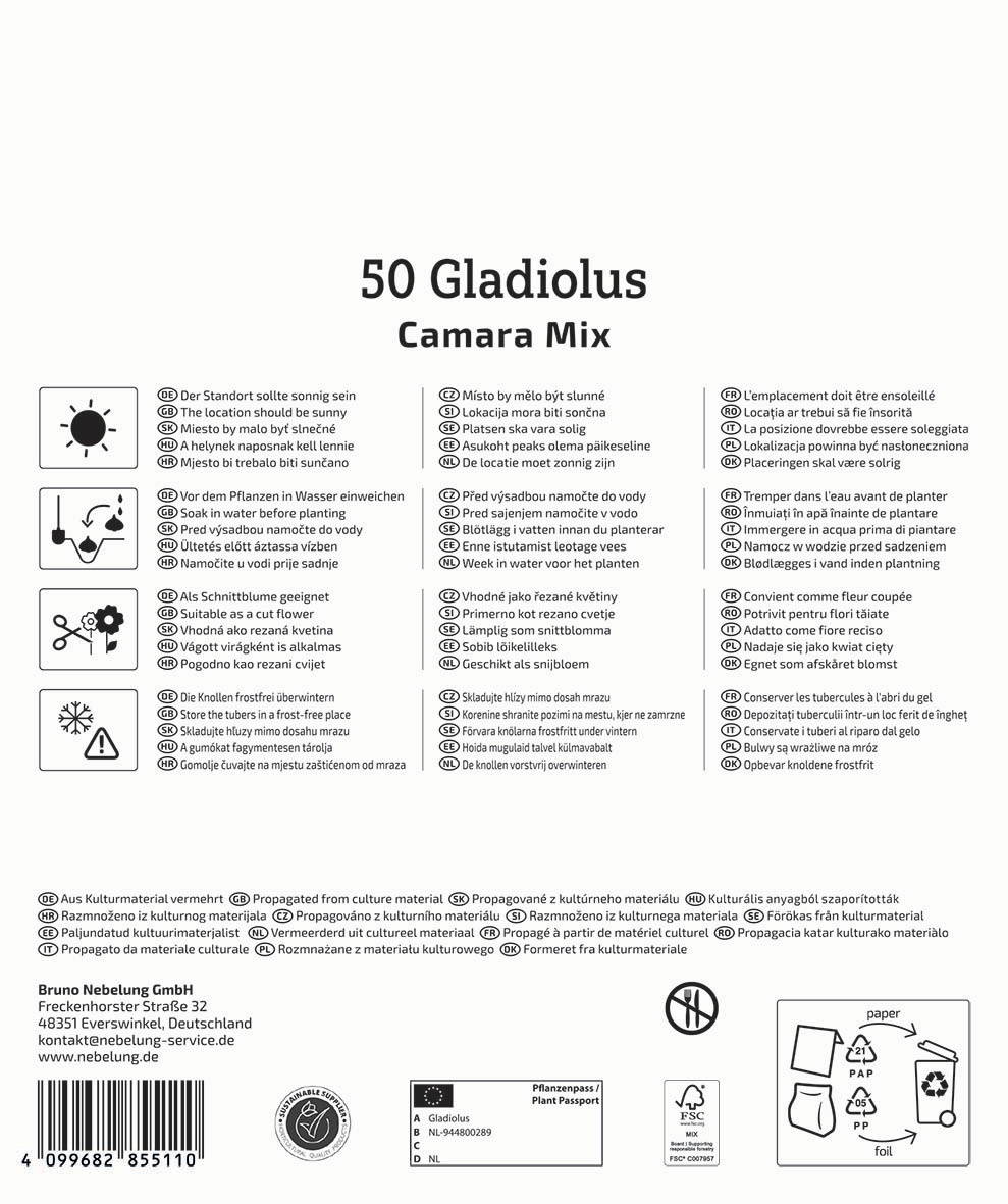 Anleitungstafel für Pflanzen mit verschiedenen Sprachen und Symbolen, Herstellerinformationen und Recyclinghinweisen.