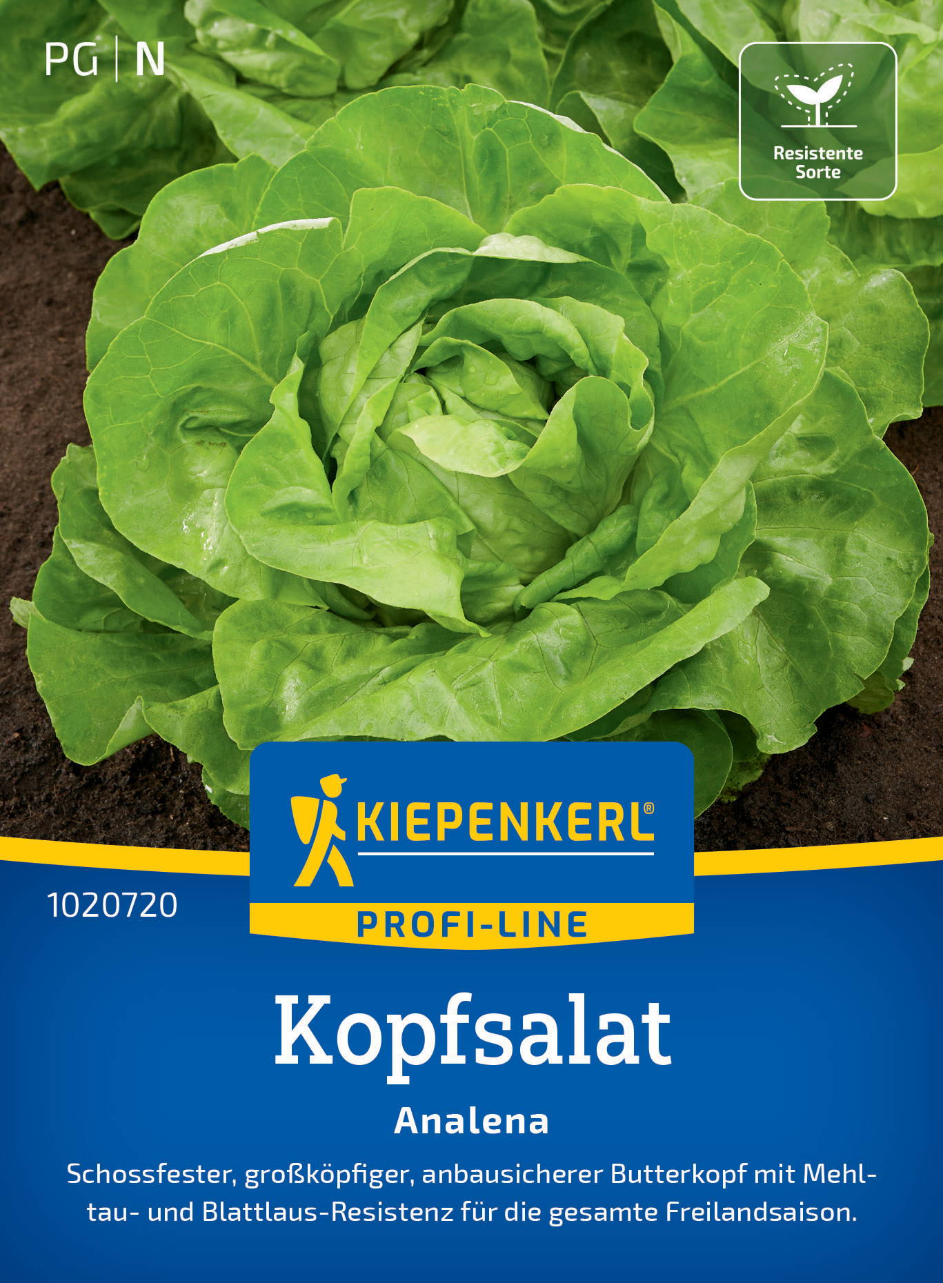 Kopfsalatsamen Analena