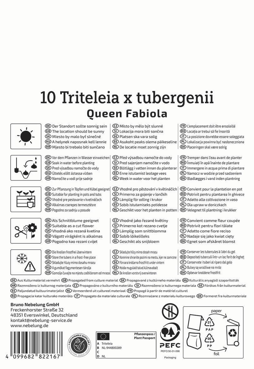 Text with planting instructions, symbols, and contact information in multiple languages, with recycling and packaging icons.