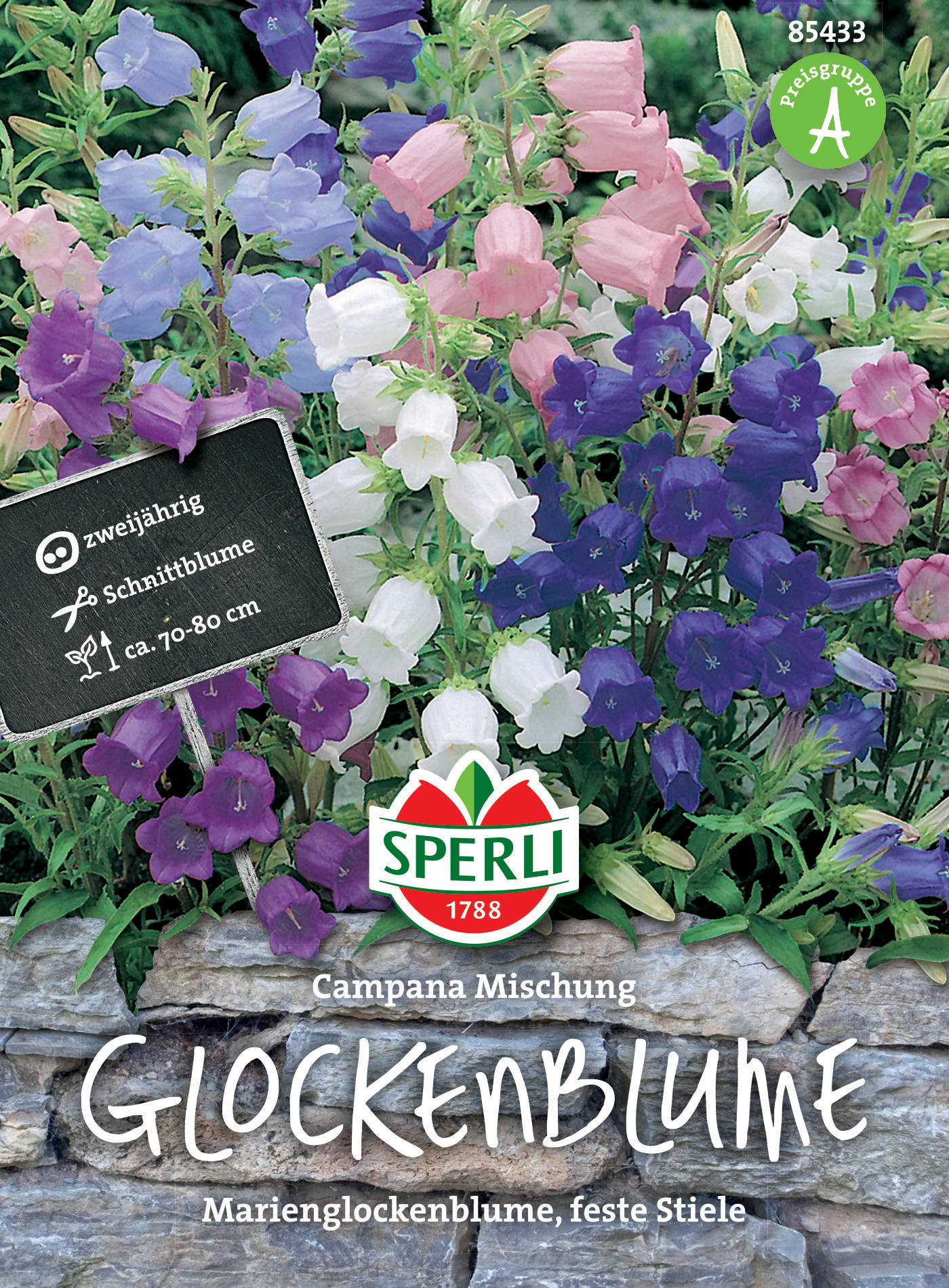 Glockenblumensamen Campana Mischung