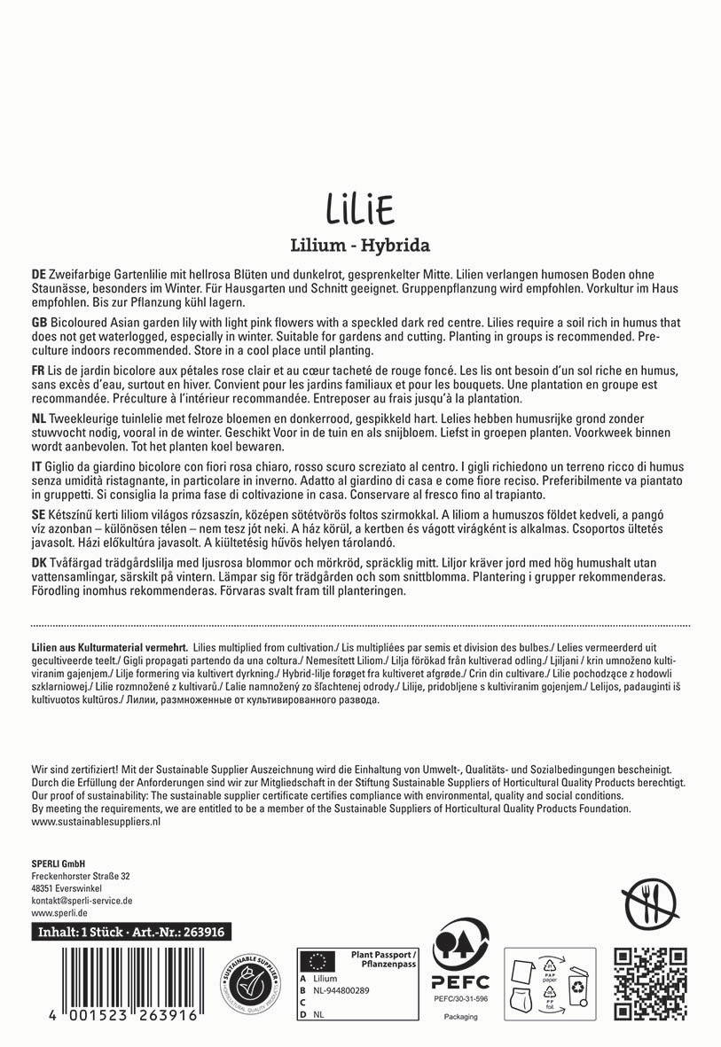 Bilder mit Text auf Deutsch, Englisch, Französisch, Niederländisch, Italienisch, Schwedisch, Dänisch, Ukrainisch, Russische, polnischer Sprache.