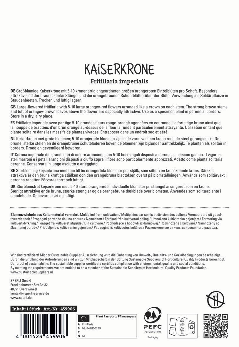 Kaiserkrone mit orangefarbenen Blüten und braunen Stielen, 5-10 große Blüten pro Pflanze