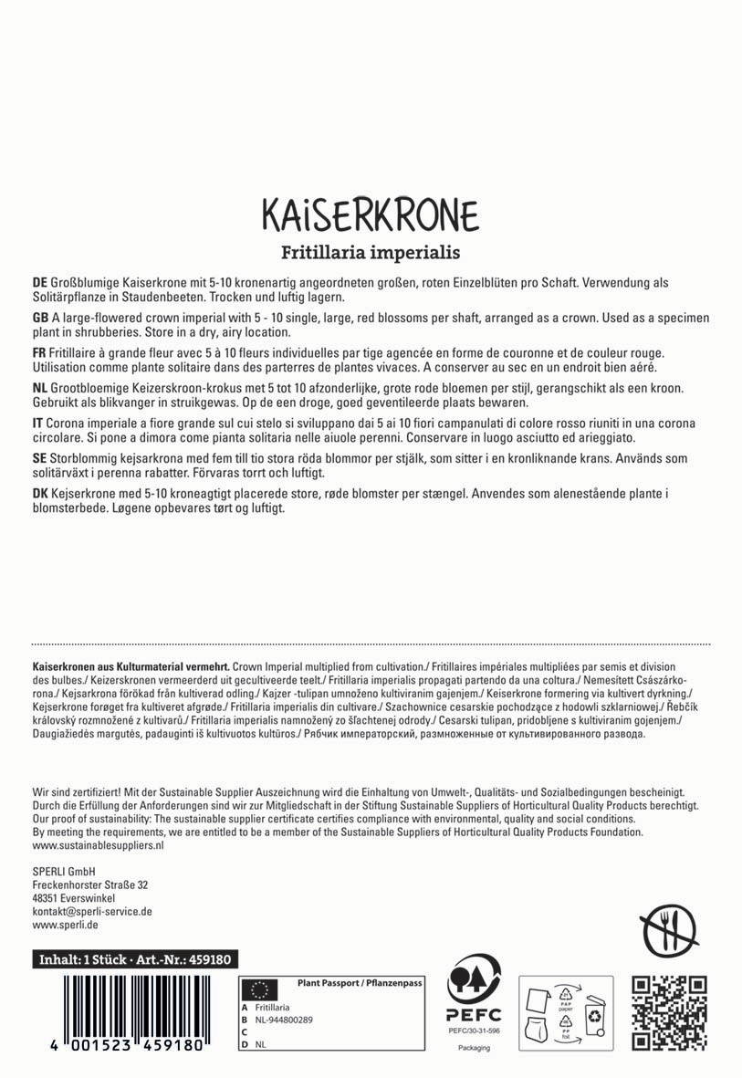Großblumige Kaiserkrone mit rotem Blütenstand in einer Schale