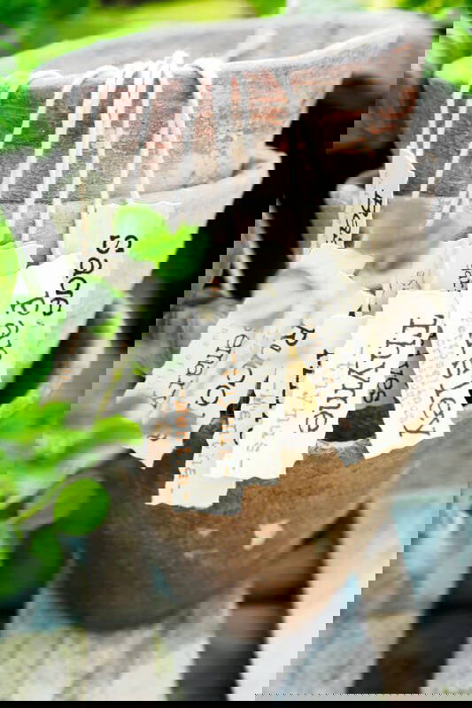 Zwei alte Tontöpfe mit Thymian und Salbei, daran hängen beschriftete Kräutertags.