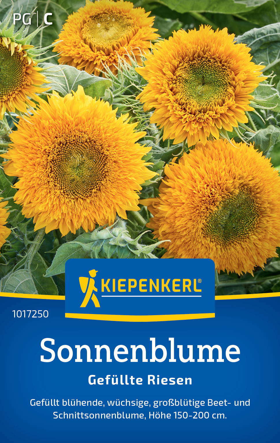 Gelbe Sonnenblumen mit grünen Blättern, auf Verpackung abgebildet.