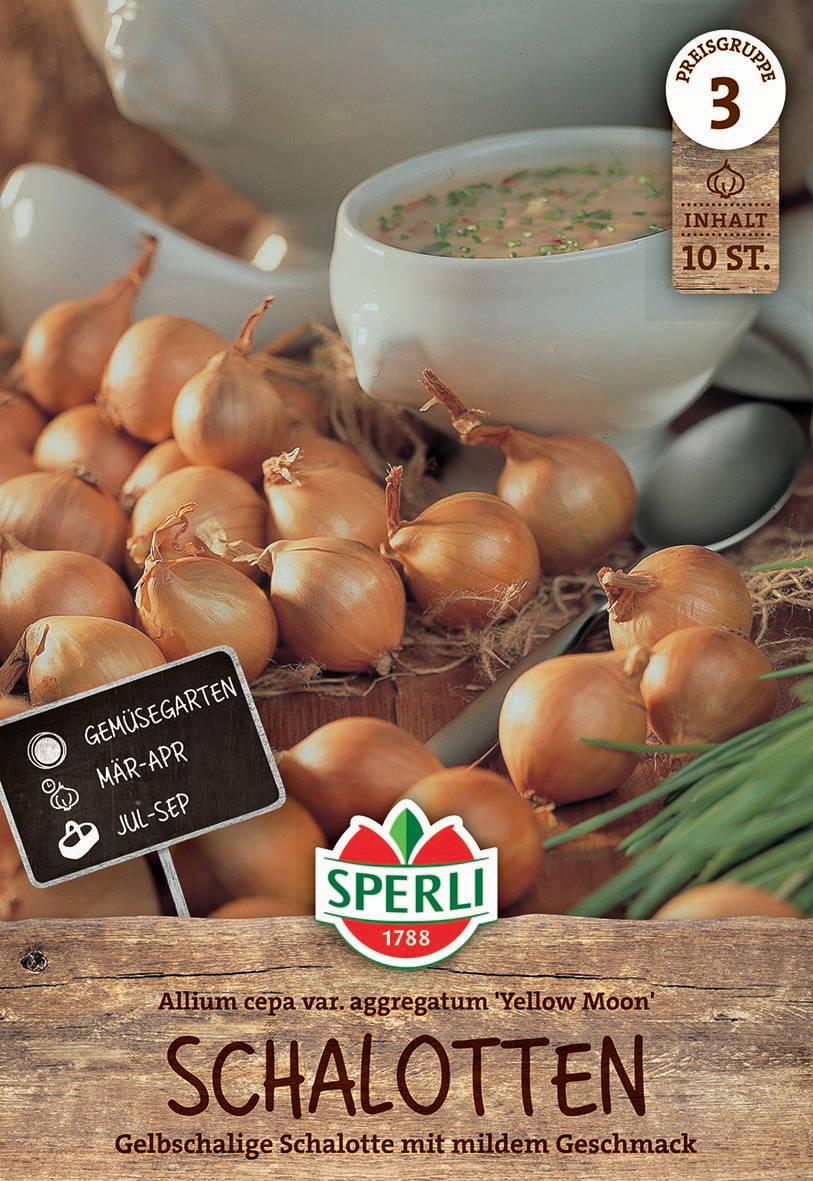 Haufen gelblich-brauner Schalotten neben einer Schüssel mit Zwiebelcreme, Holzoptikhintergrund.