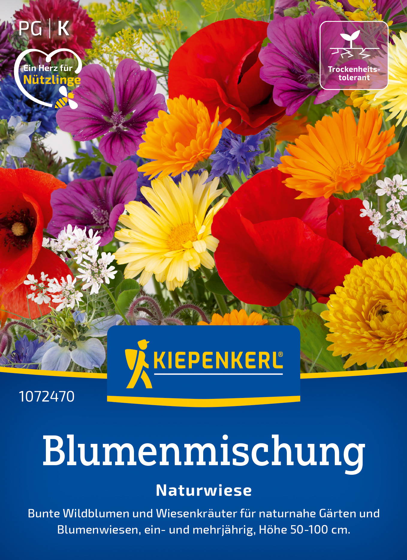 Blumensamen-Mischung Naturwiese