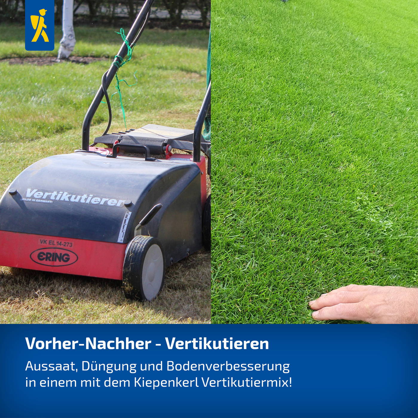 Bild zeigt eine Vertikutierermaschine auf einem Rasen und eine Hand, die auf grünem Gras liegt.