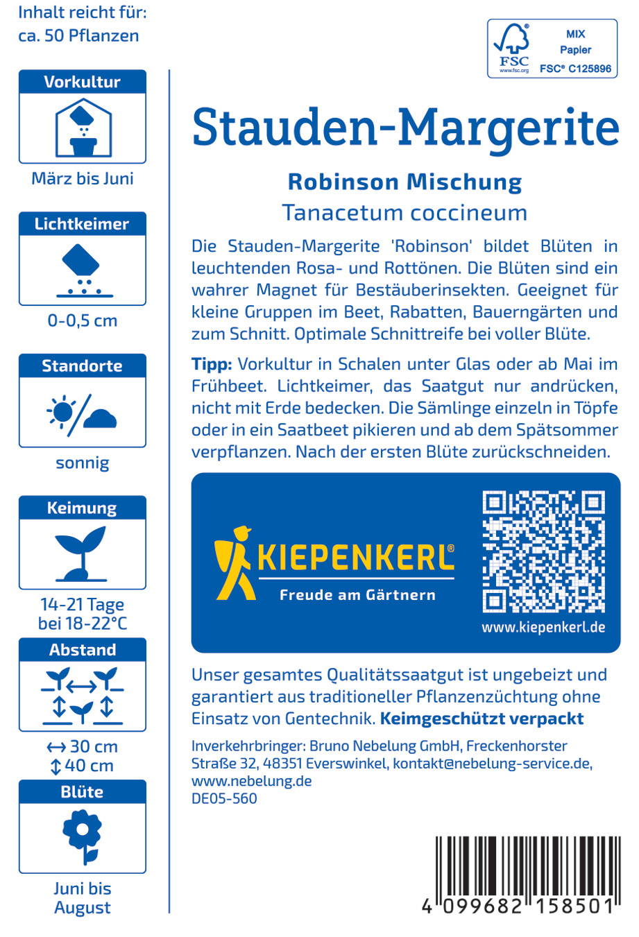 Bunte Stauden-Margerite mit rosa und orangefarbenen Blüten auf weißem Hintergrund.