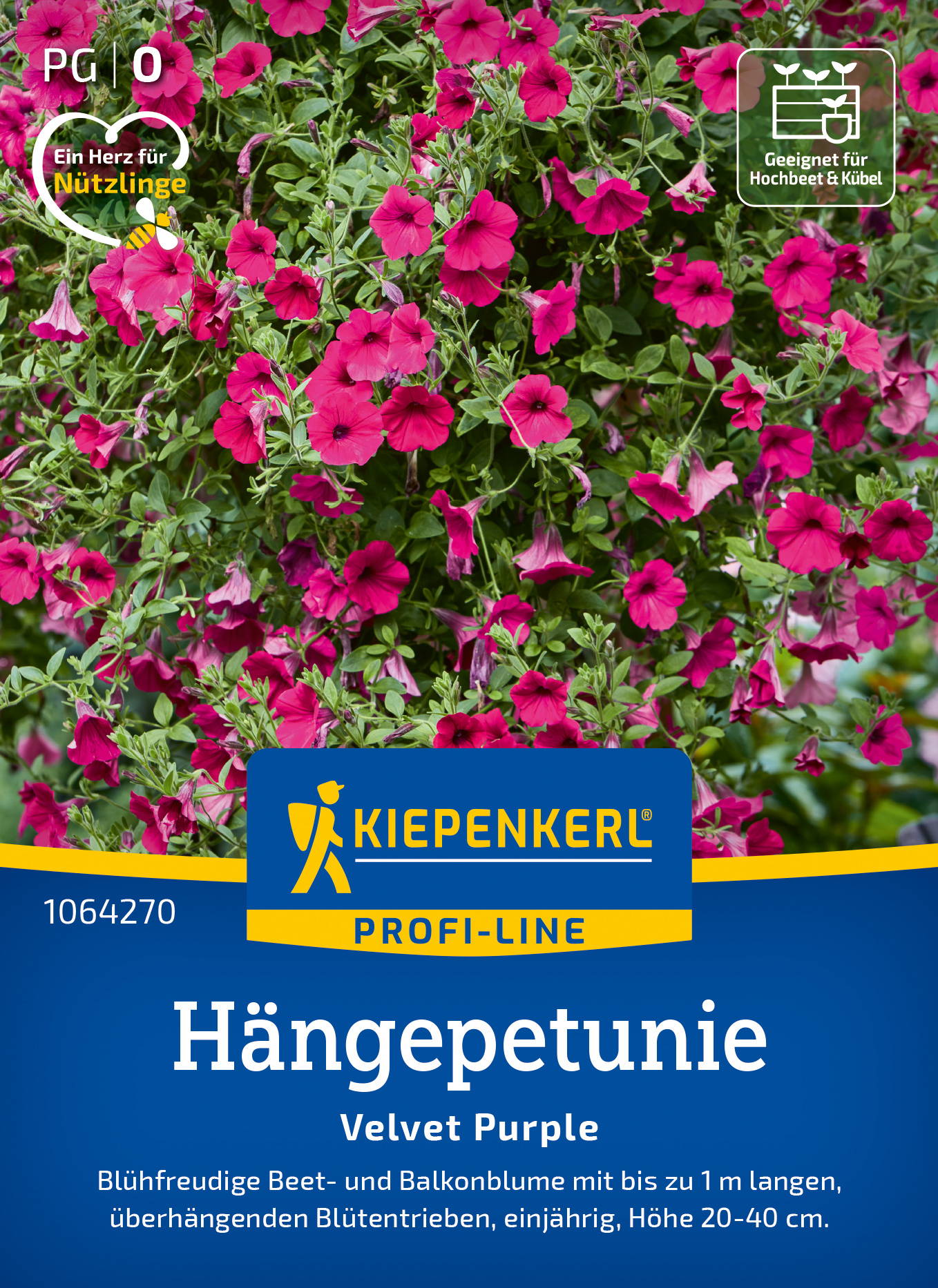 Blumenbild mit pinken Hängepetunien, bepflanzte Balkon- oder Hanggapfel auf Verpackung.