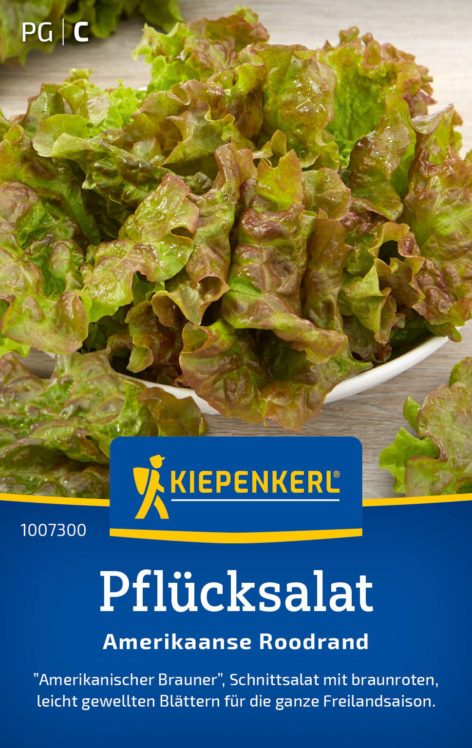Pflücksalatsamen Amerikaanse Roodrand