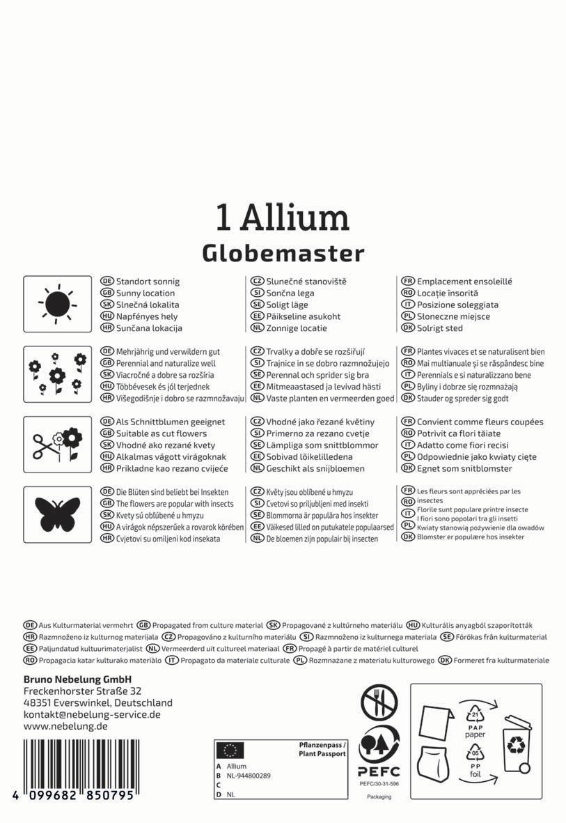 Blumen, Sonnenlicht, Sonne, Blüten, kleine Blumen, Insekten, Verpackung, Recycling, Planet Pass.