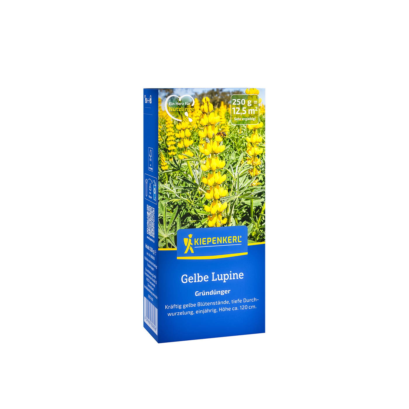 Gelbe Lupine auf blauer Verpackung mit Kiepenkerl-Logo und Text.