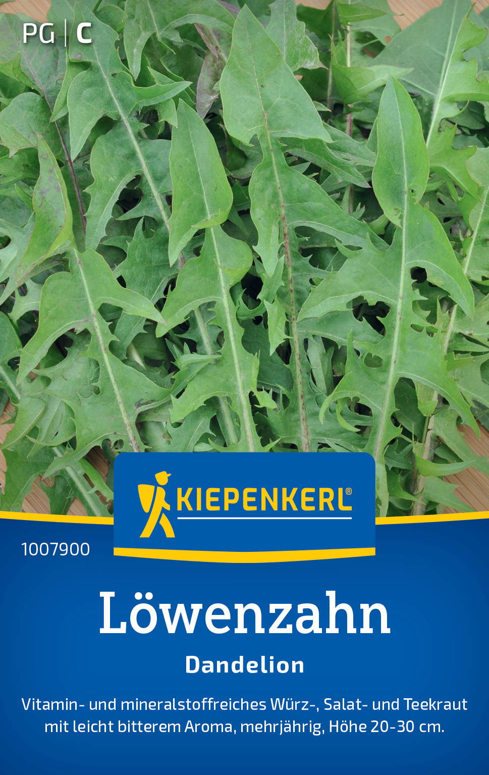 Getrocknete Löwenzahnblätter auf Verpackung, grünes Gemüse, Mehrjährig, 20-30 cm hoch