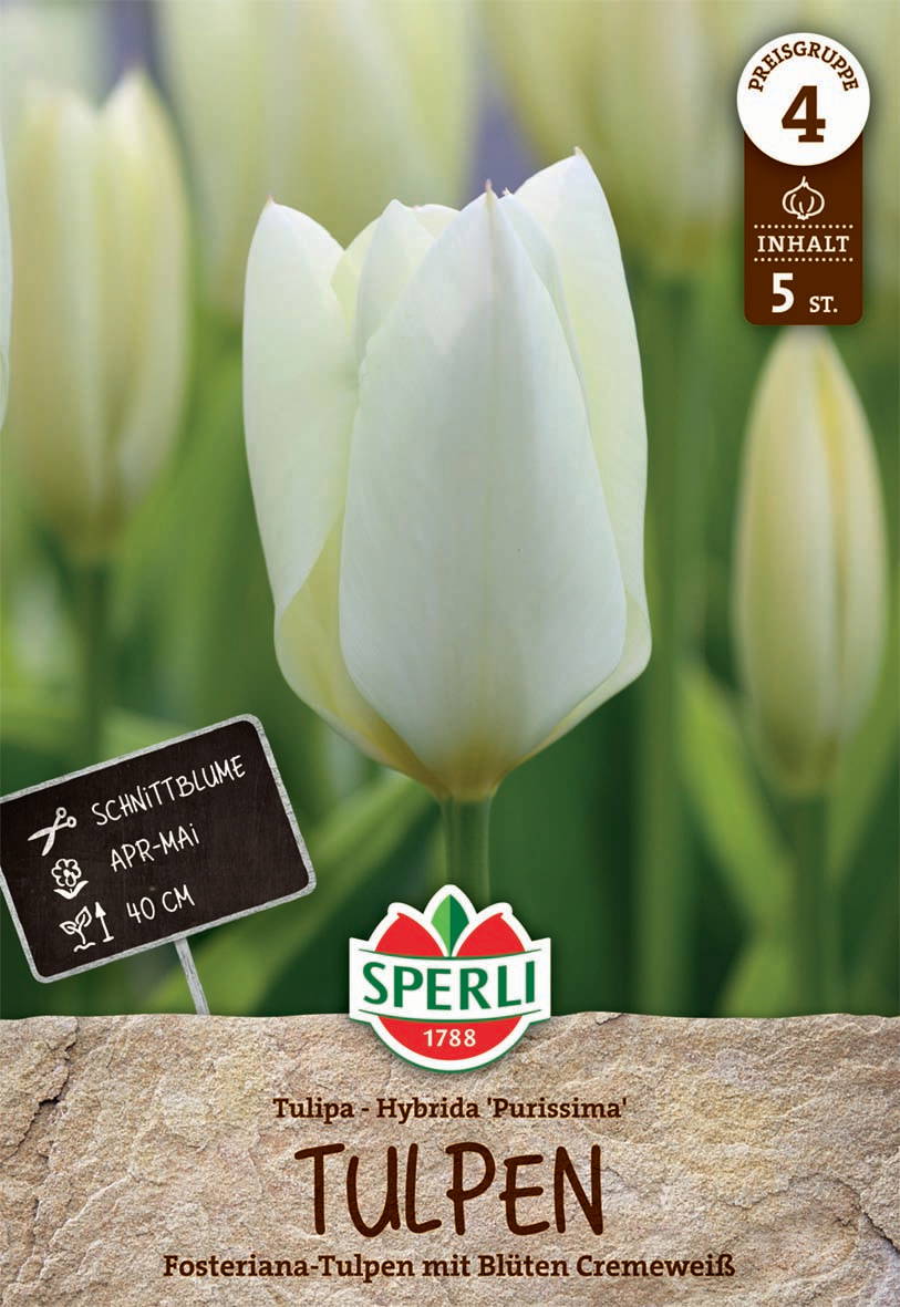 Weiße Tulpenknospen vor grünem Hintergrund, Sparli Markenlogo, Beschriftung und Sorte auf Papier.