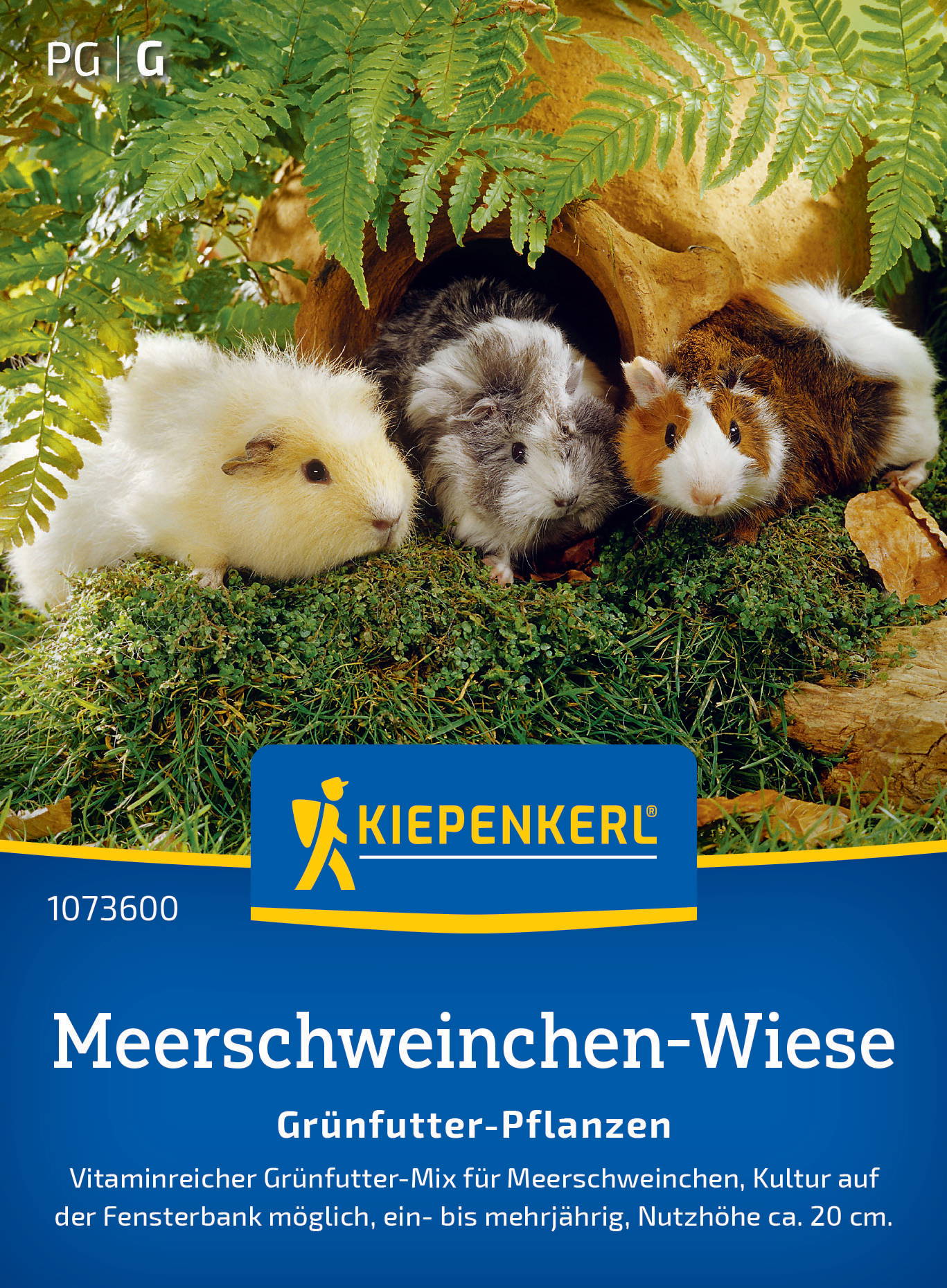 Drei Meerschweinchen vor einem hohlen Baumstamm auf grünem Moos und Farn.