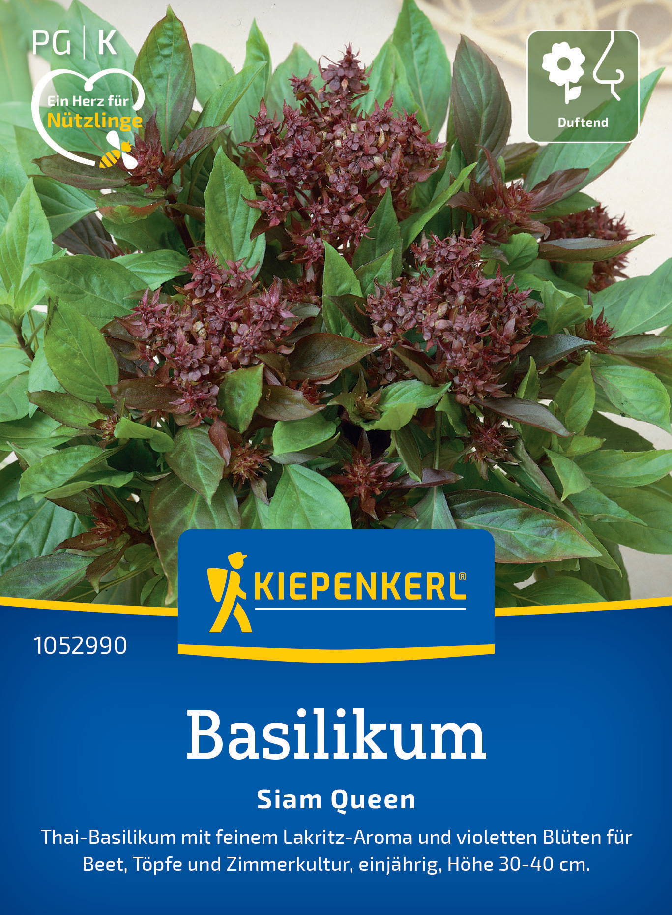 Basilikumsamen Siam Queen