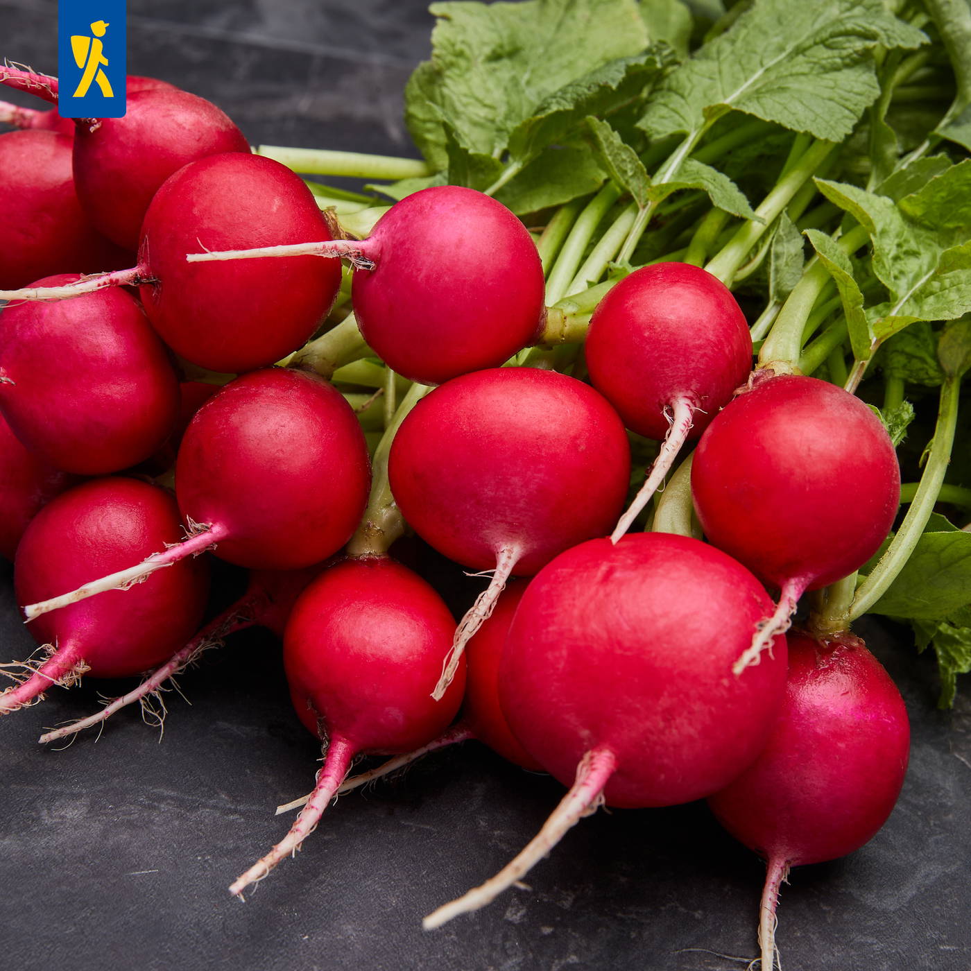 Radieschen mit grünen Blättern auf schwarzem Hintergrund.