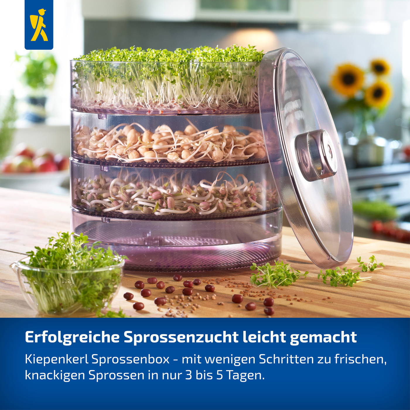 Kiepenkerl Sprossenbox mit mehreren Schichten für frische Sprossen in wenigen Tagen.