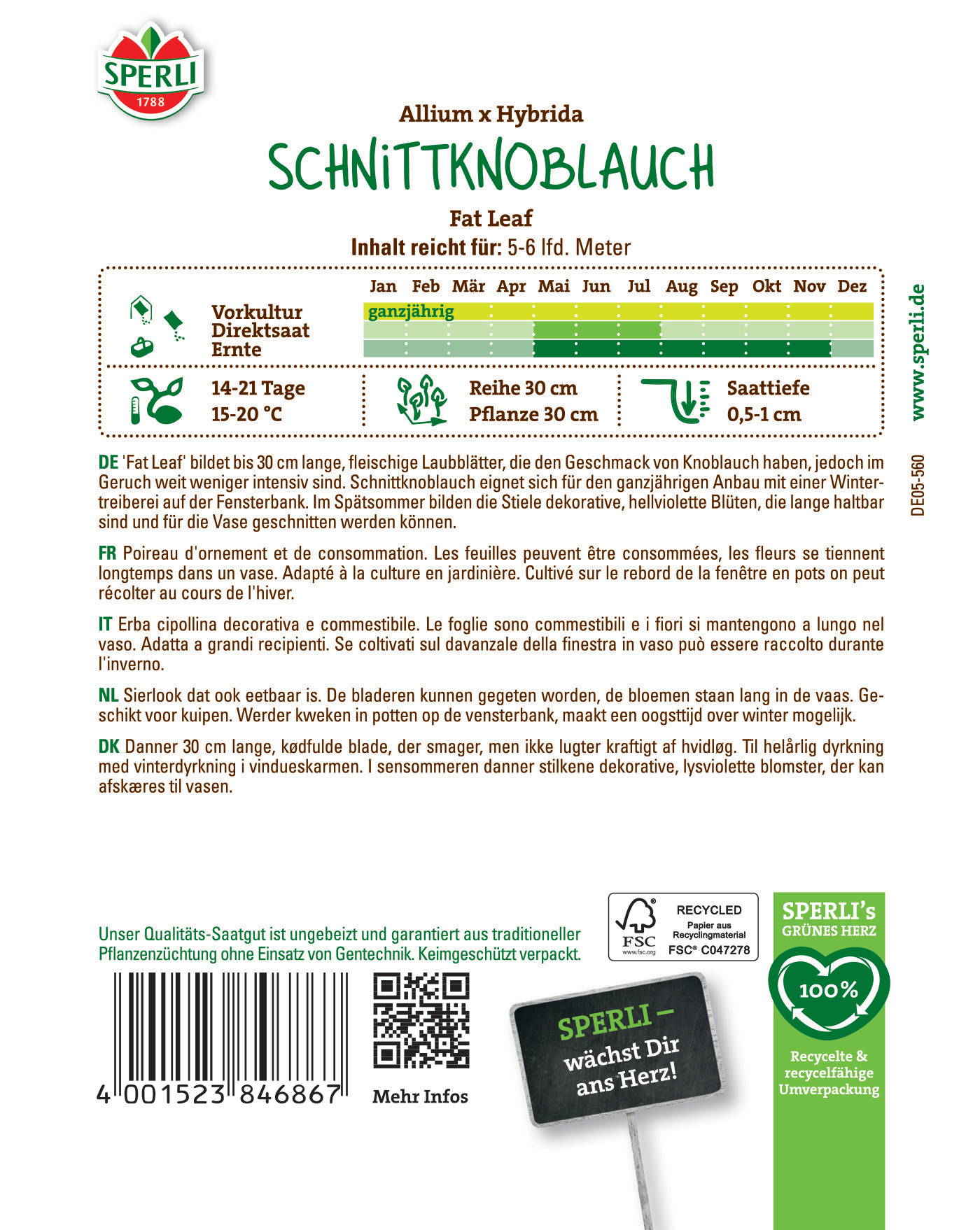 Schnittknoblauch Allium x Hybrida Fat Leaf, 5-6 Liter, wächst das ganze Jahr, 14-21 Tage, 15-20 °C, große Blätter.