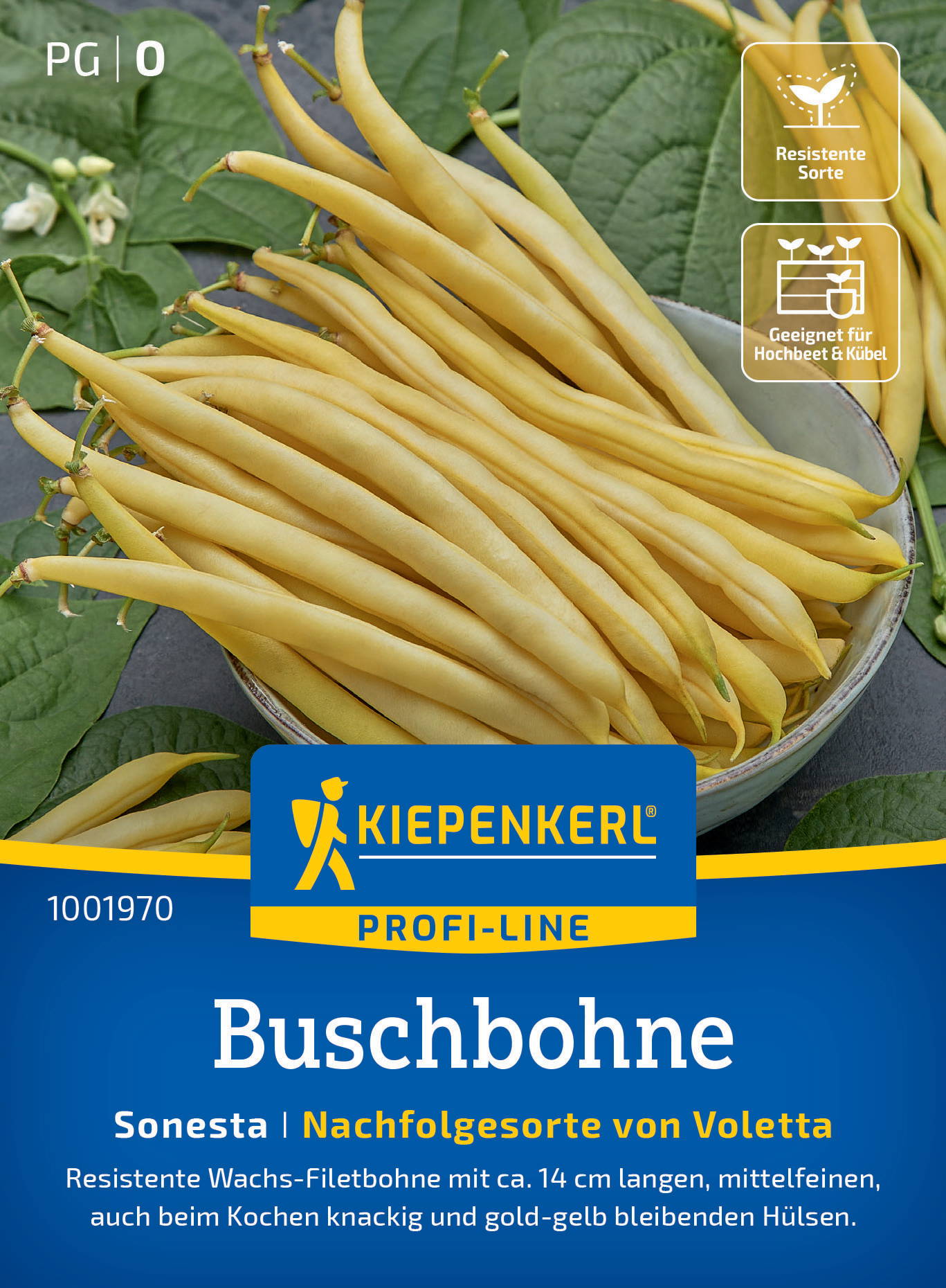 Bunte Buschbohnen mit gelb-grünen Hülsen auf einer Schale, umgeben von großen grünen Blättern.