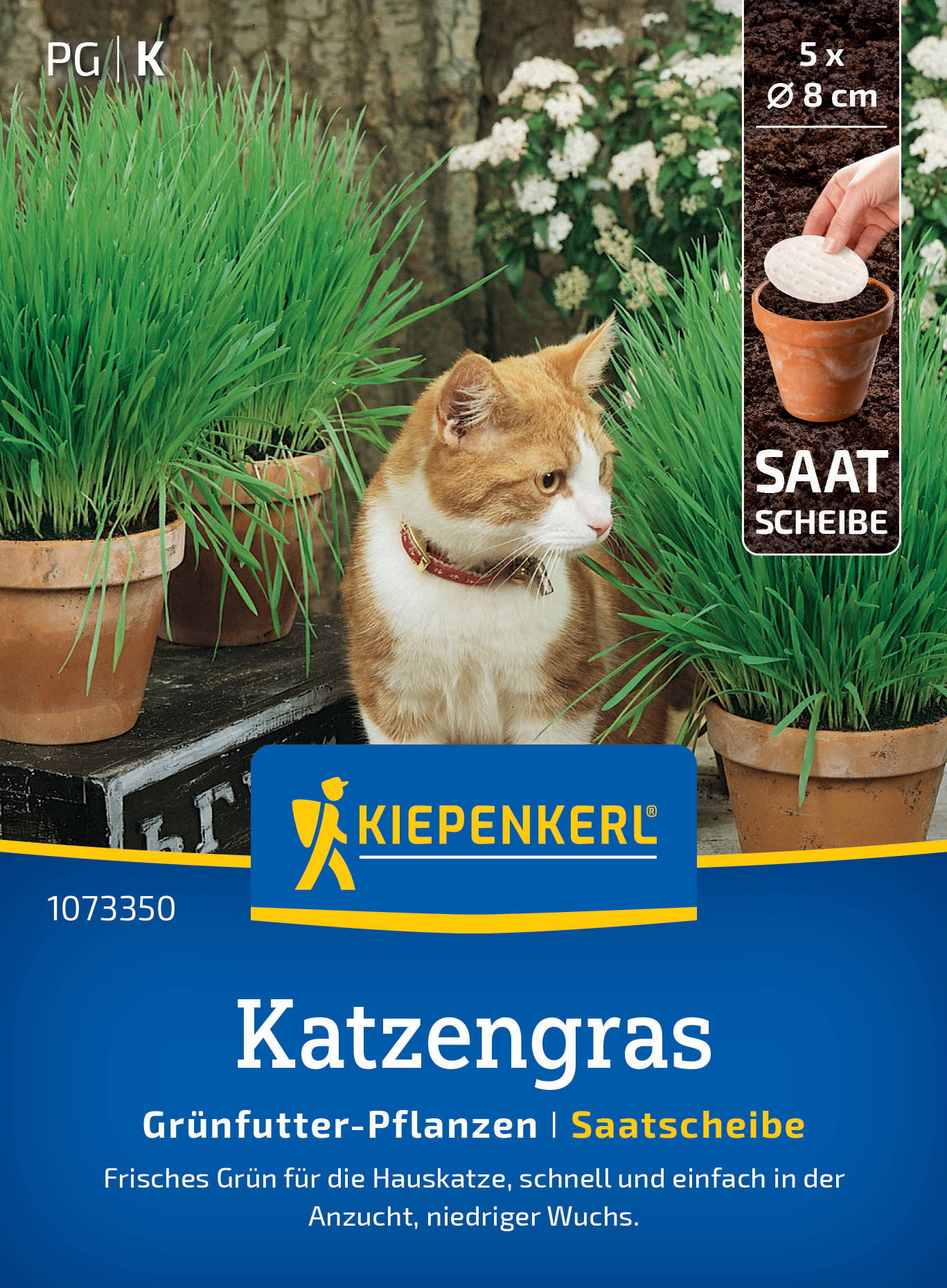 Katzenrasen Saatkerle mit fünf Platten, Durchmesser 8 cm, für Katzen, grüne Pflanzen, Katze neben Töpfen, Naturhintergrund.